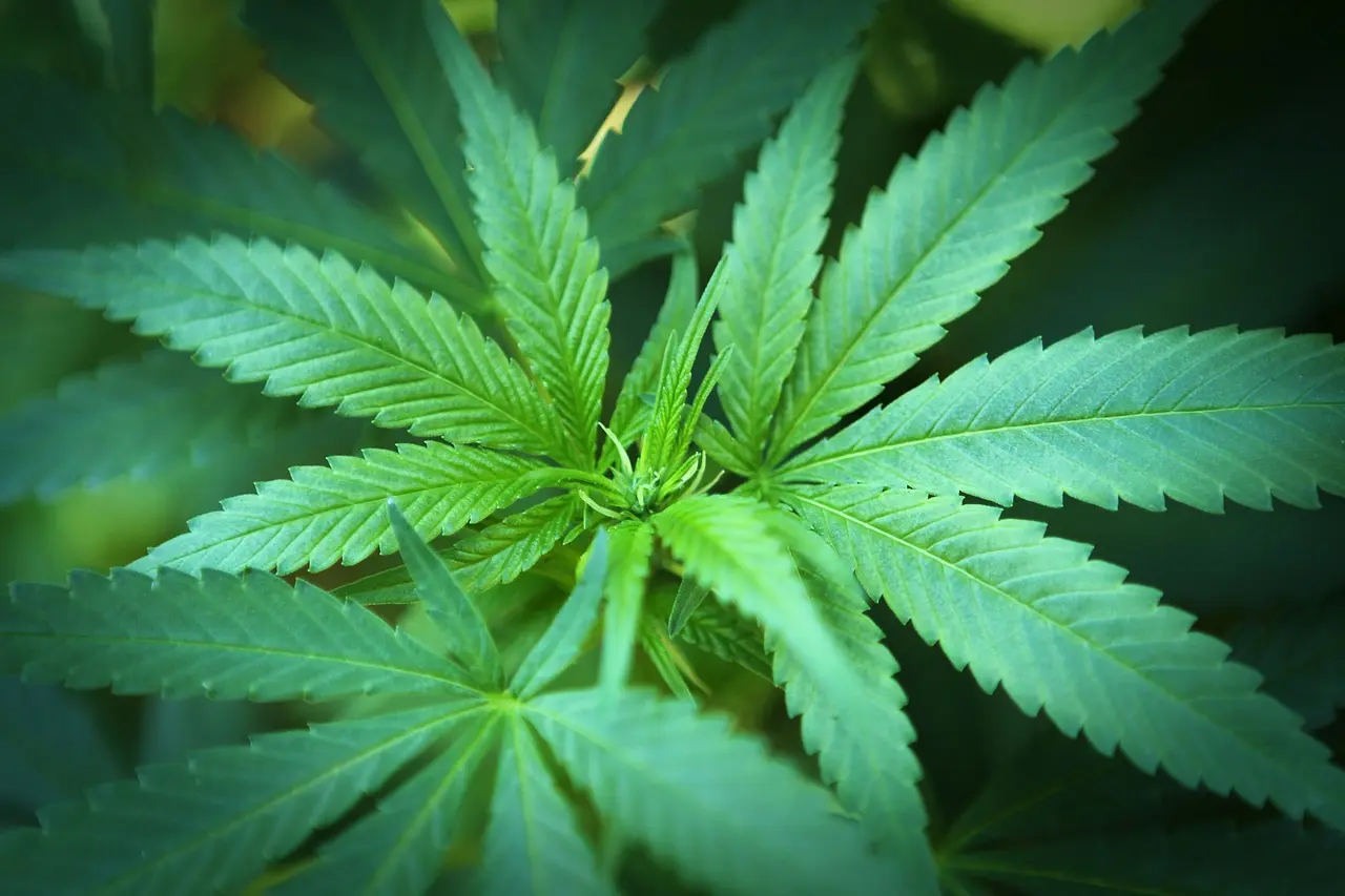 汇聚海量PG电子游戏，即时畅玩，精彩无限！ - 问鼎娱乐下载
